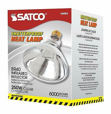 250 Watt Heat Lamp Food Warmer R40 Light Bulb Clear Teflon Coated Shatterproof